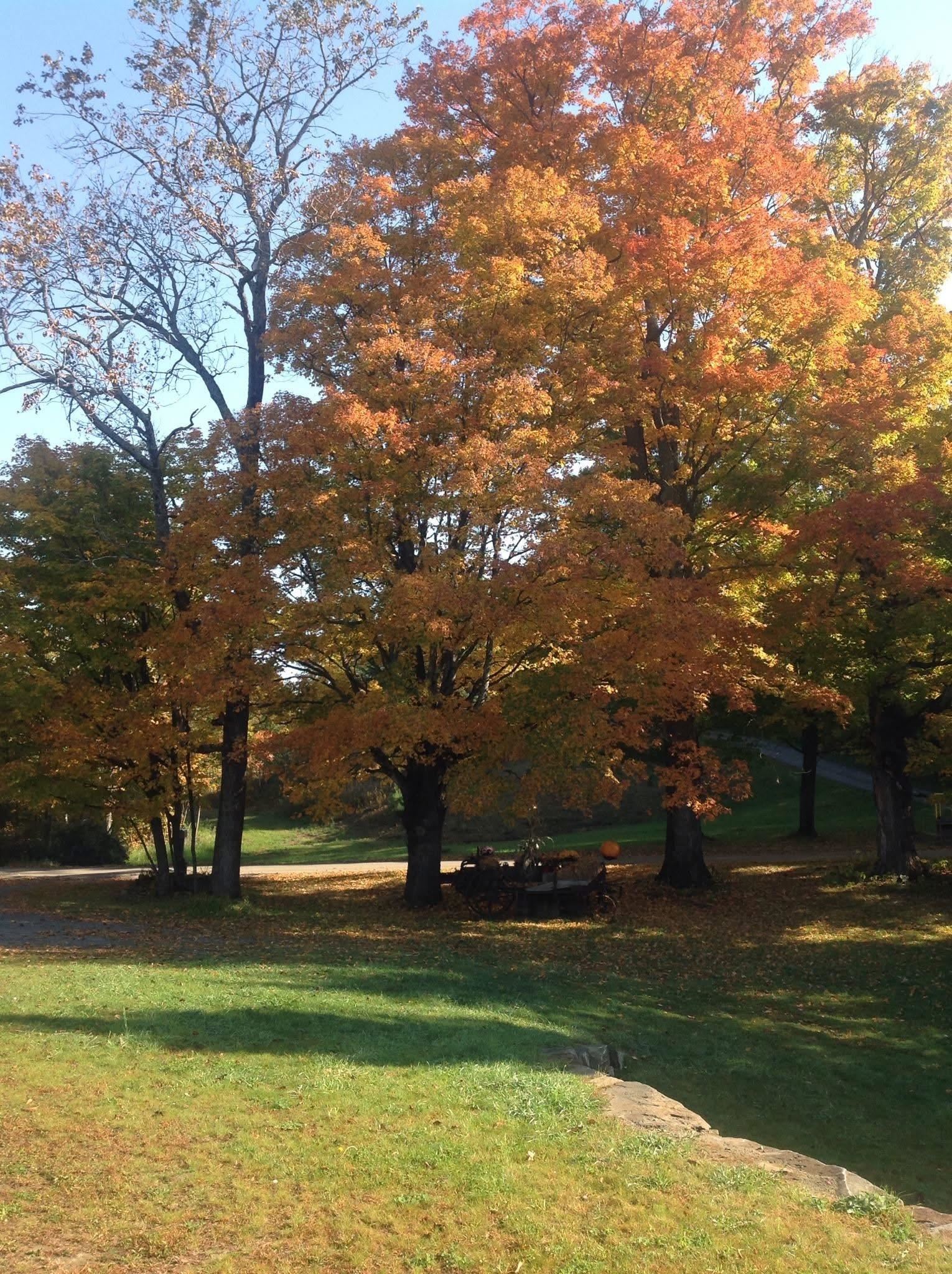 2155 Oneida Road Danville, VT 05828 - Photo 40 of 47