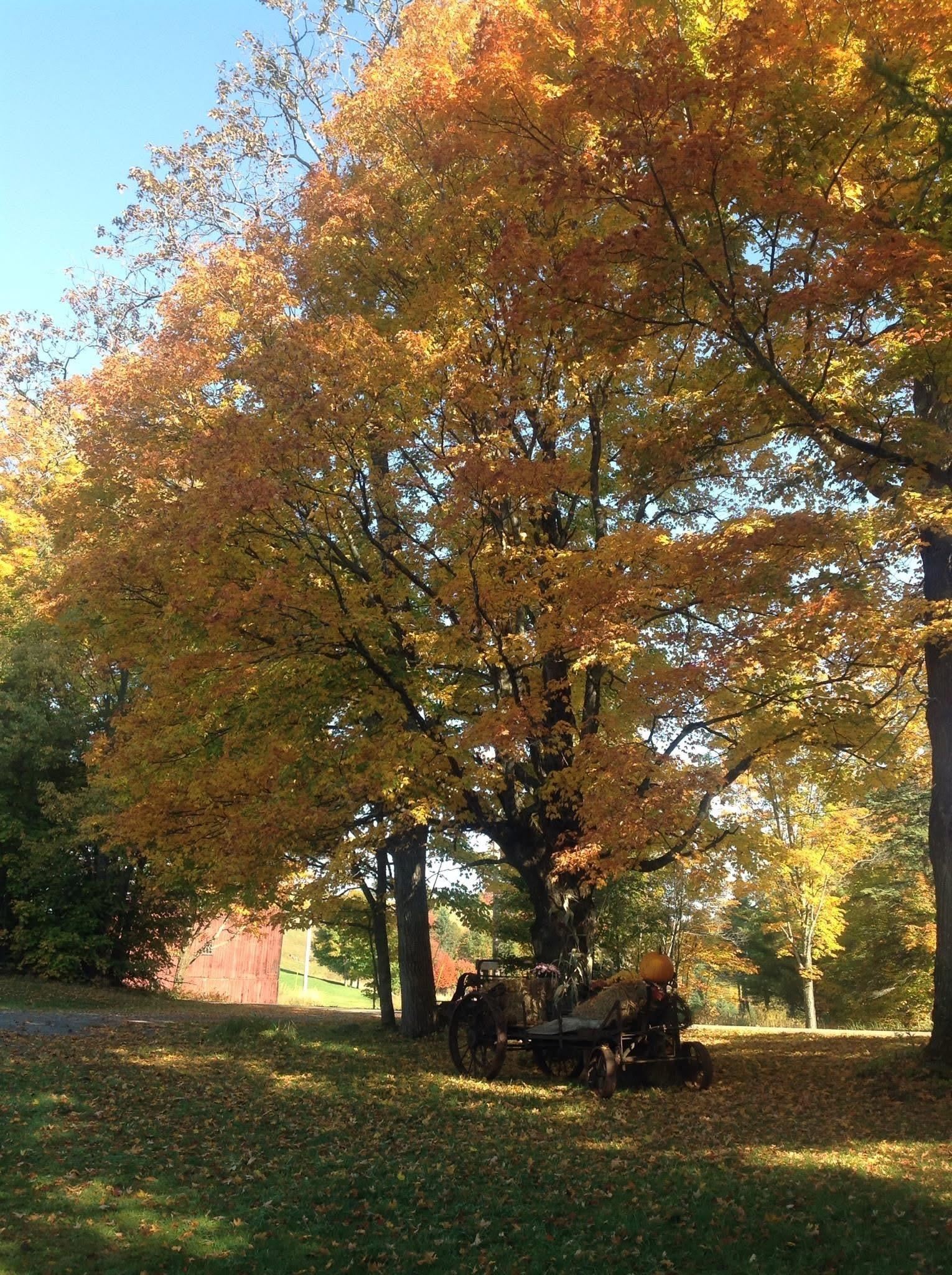 2155 Oneida Road Danville, VT 05828 - Photo 41 of 47