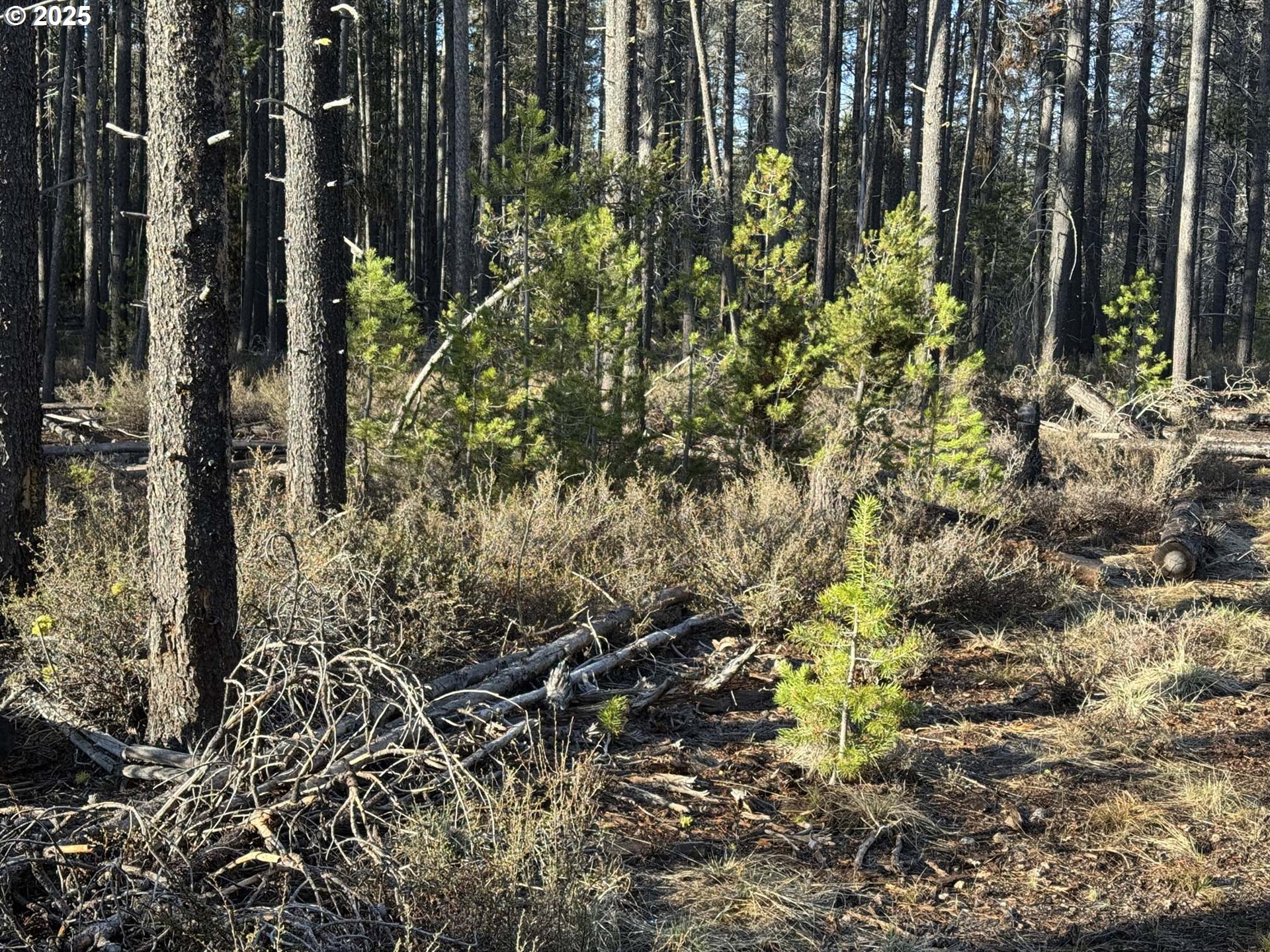 Artesian Drive, Unit L7 Chiloquin, OR 97624 - Photo 13 of 39