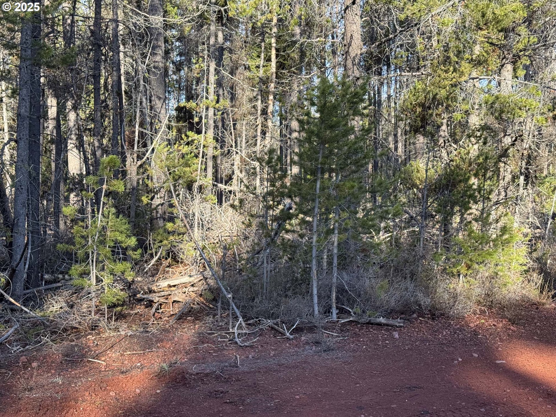 Artesian Drive, Unit L7 Chiloquin, OR 97624 - Photo 24 of 39