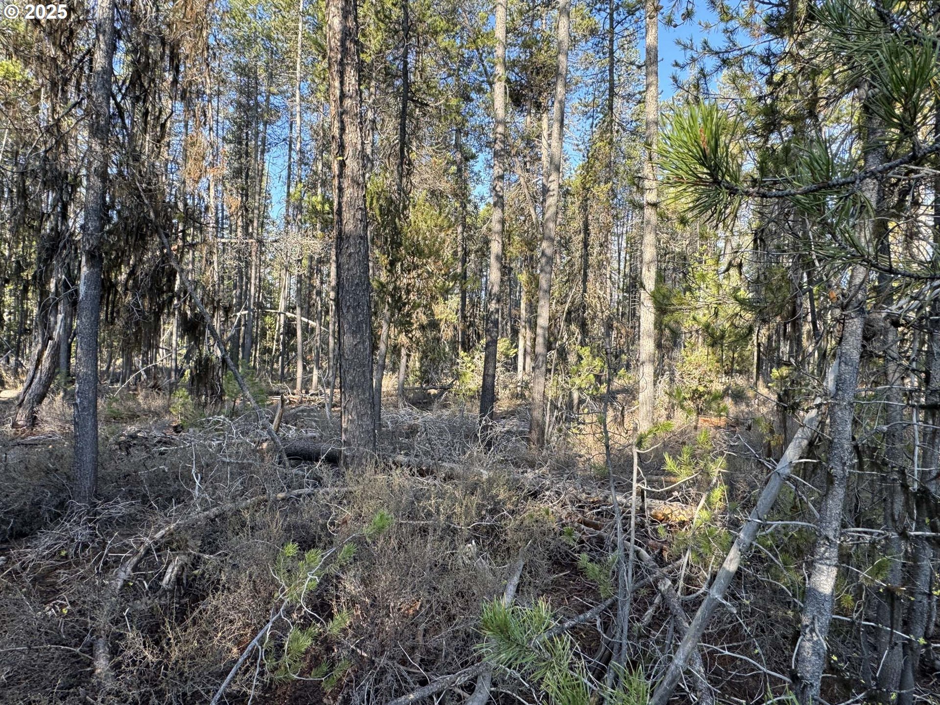 Artesian Drive, Unit L7 Chiloquin, OR 97624 - Photo 28 of 39