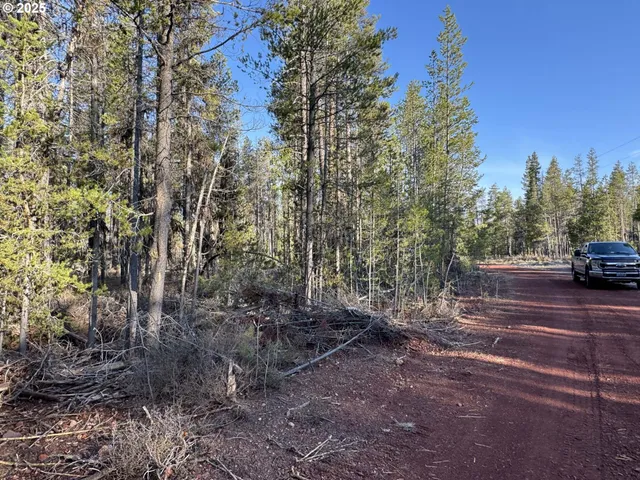 a view of a house with a tree