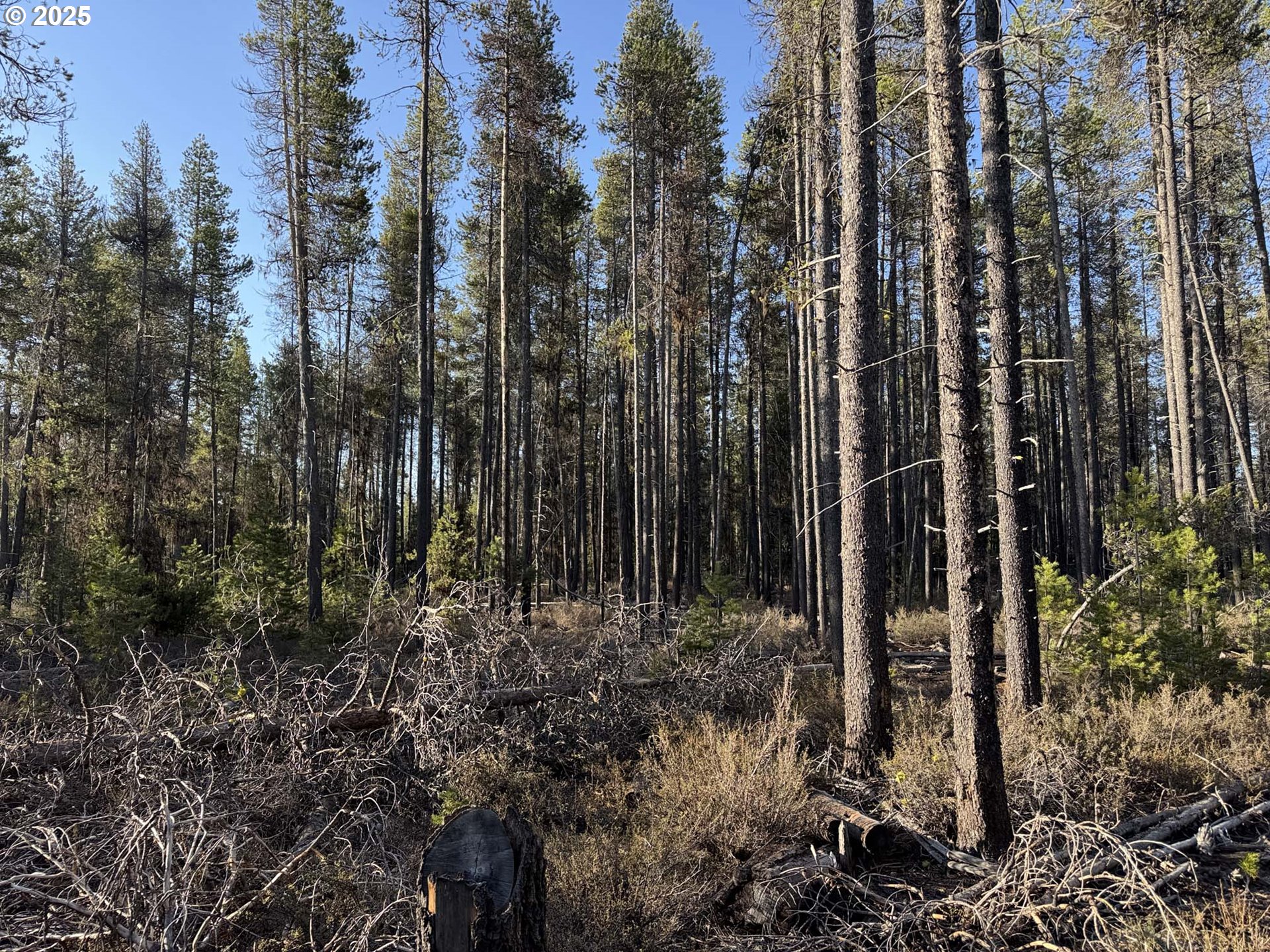 Artesian Drive, Unit L7 Chiloquin, OR 97624 - Photo 8 of 39