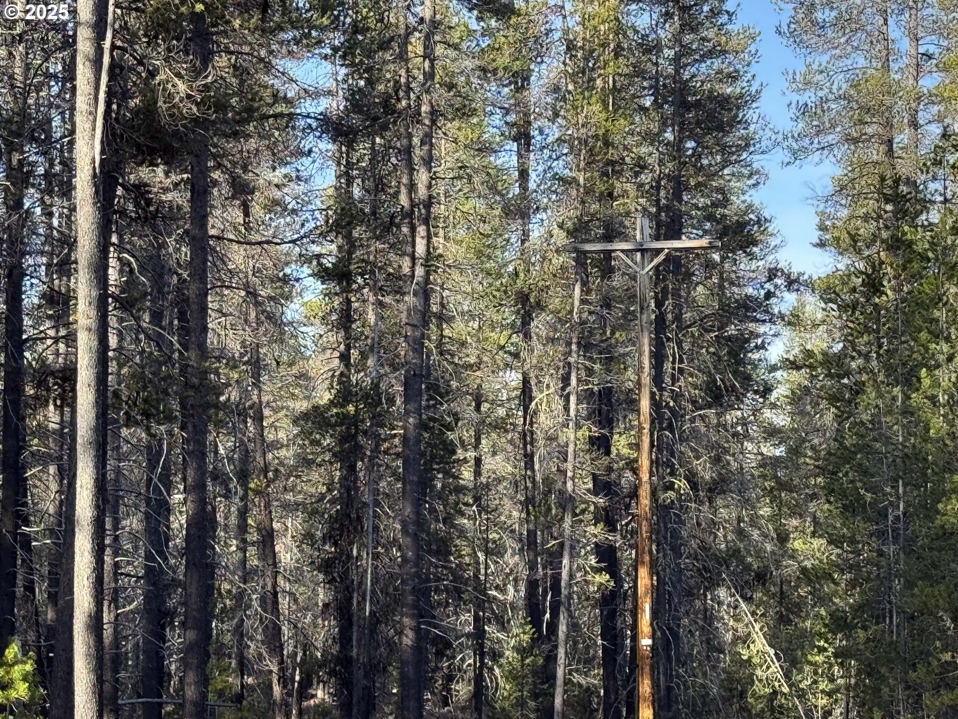 Artesian Drive, Unit L7 Chiloquin, OR 97624 - Photo 10 of 39