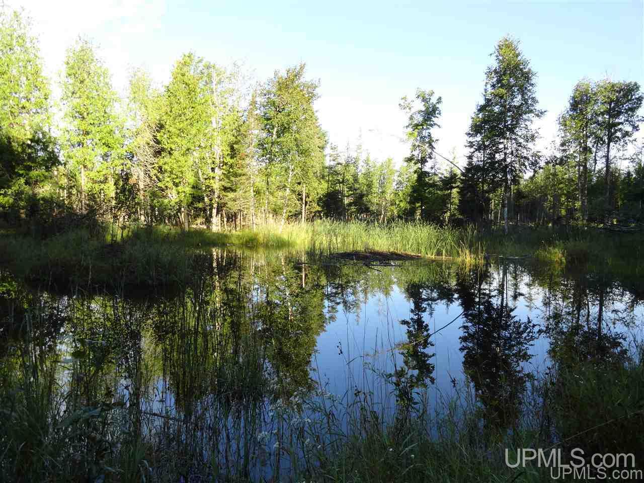 5-acres Co Rd Sa Cornell, MI 49818 - Photo 23 of 27