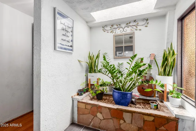 a potted plant sitting on a floor next to a window