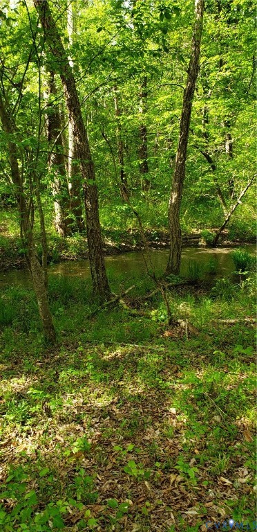 75-acres Winningham Road Crewe, VA 23930 - Photo 13 of 13 The property features a serene wooded area with ma