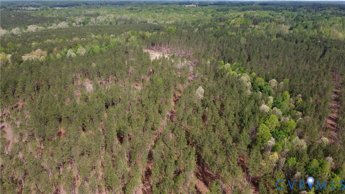 75-acres Winningham Road Crewe, VA 23930 - Photo 2 of 13 Aerial view of the property showing extensive tree