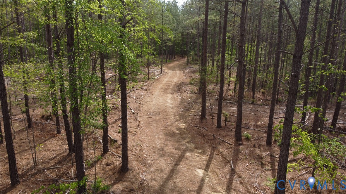 75-acres Winningham Road Crewe, VA 23930 - Photo 3 of 13 The property features a dirt road winding through
