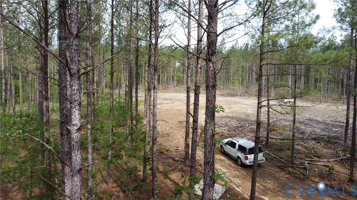 75-acres Winningham Road Crewe, VA 23930 - Photo 4 of 13 The property features extensive wooded areas with