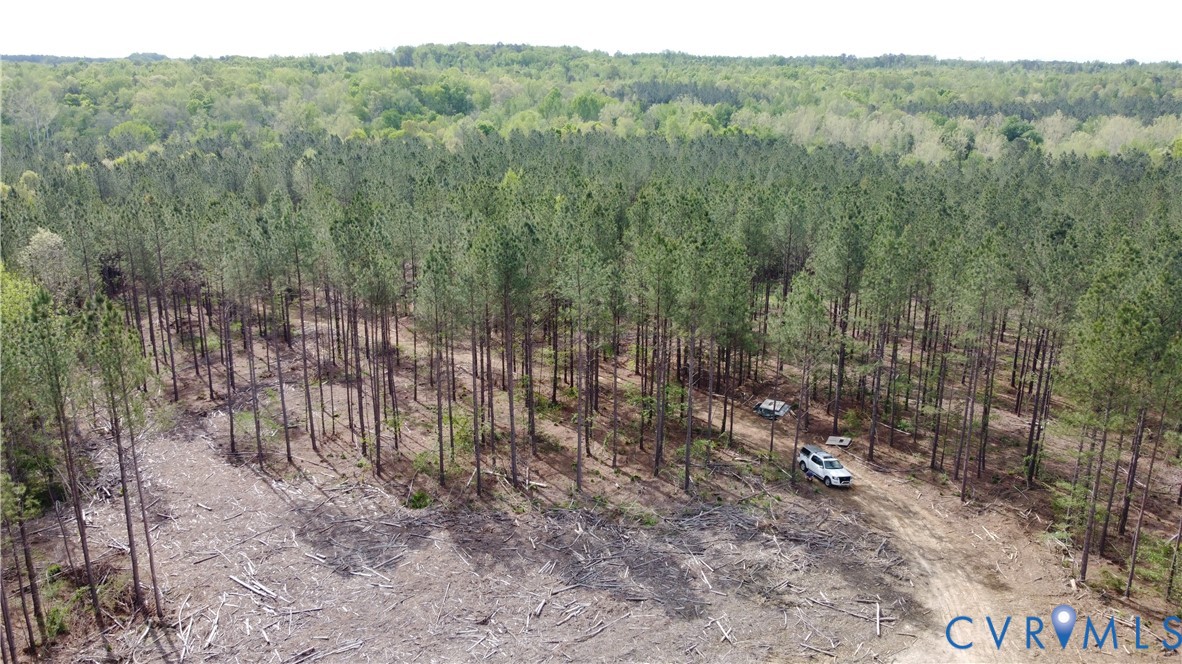 75-acres Winningham Road Crewe, VA 23930 - Photo 5 of 13 The property offers an expansive forested landscap