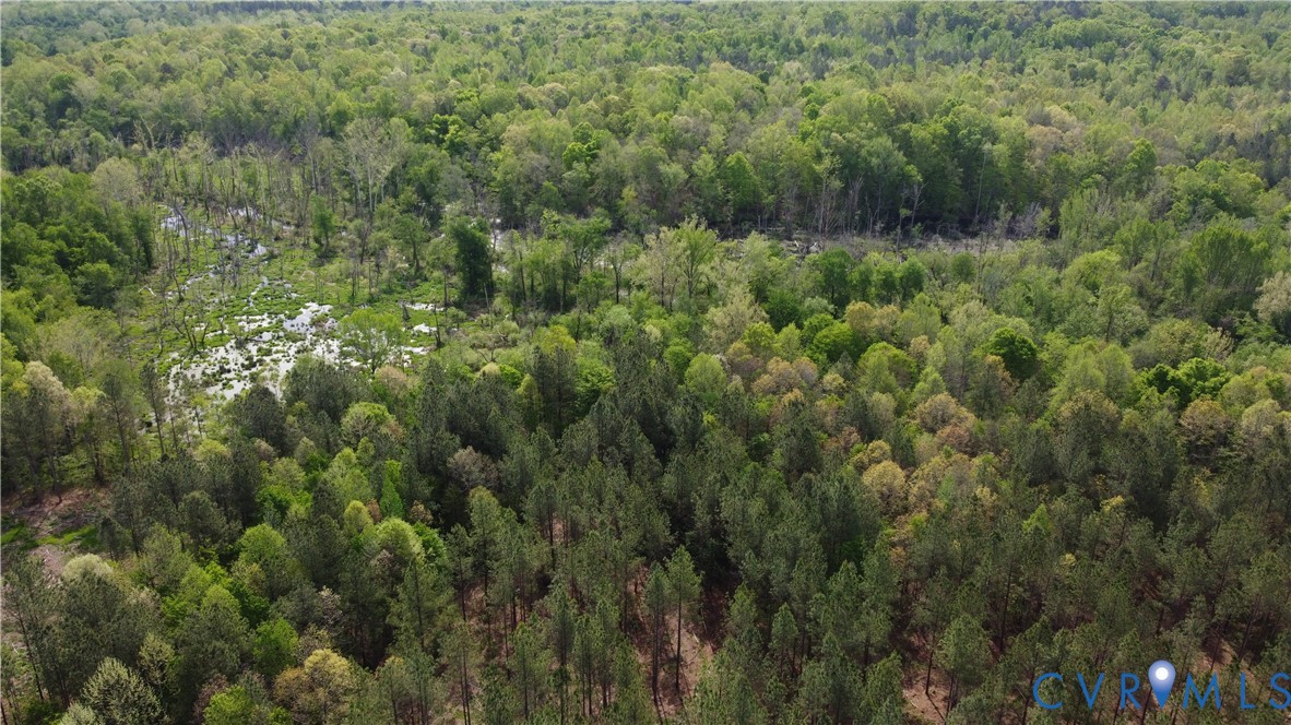75-acres Winningham Road Crewe, VA 23930 - Photo 6 of 13 The property features expansive, dense woodland wi