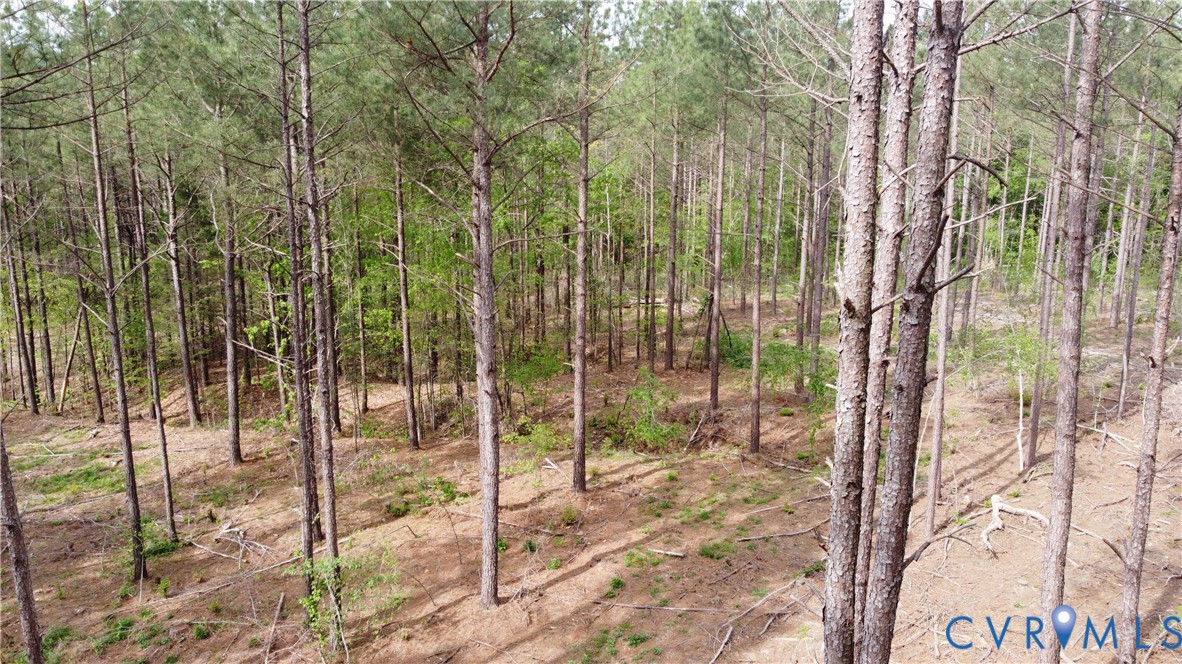 75-acres Winningham Road Crewe, VA 23930 - Photo 7 of 13 The property features extensive wooded acreage wit