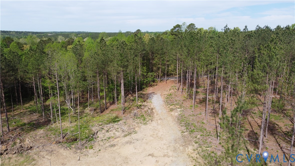 75-acres Winningham Road Crewe, VA 23930 - Photo 8 of 13 The property features a cleared dirt path and is s
