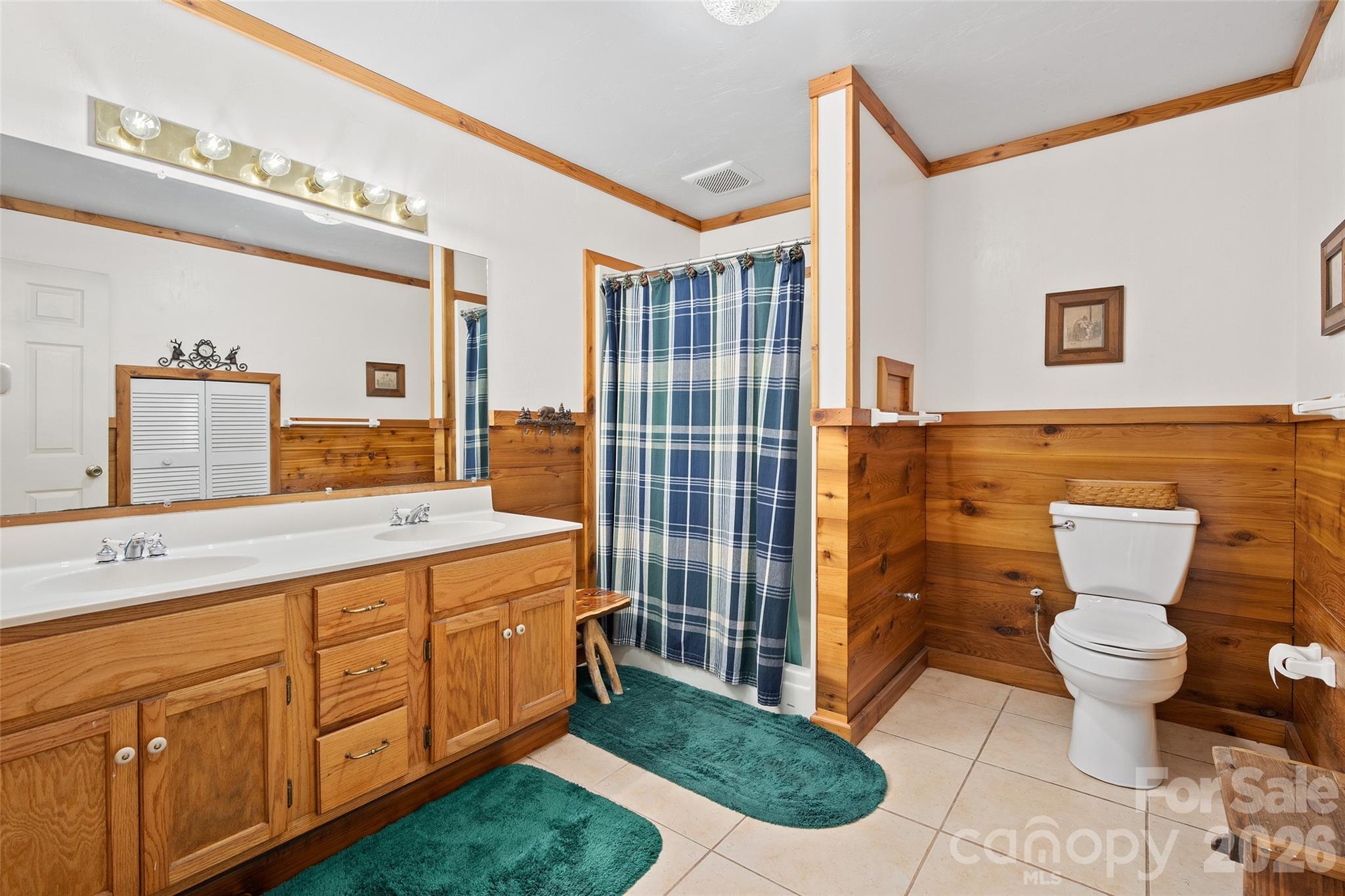 519 Promiseland Road Canton, NC 28716 - Photo 16 of 35