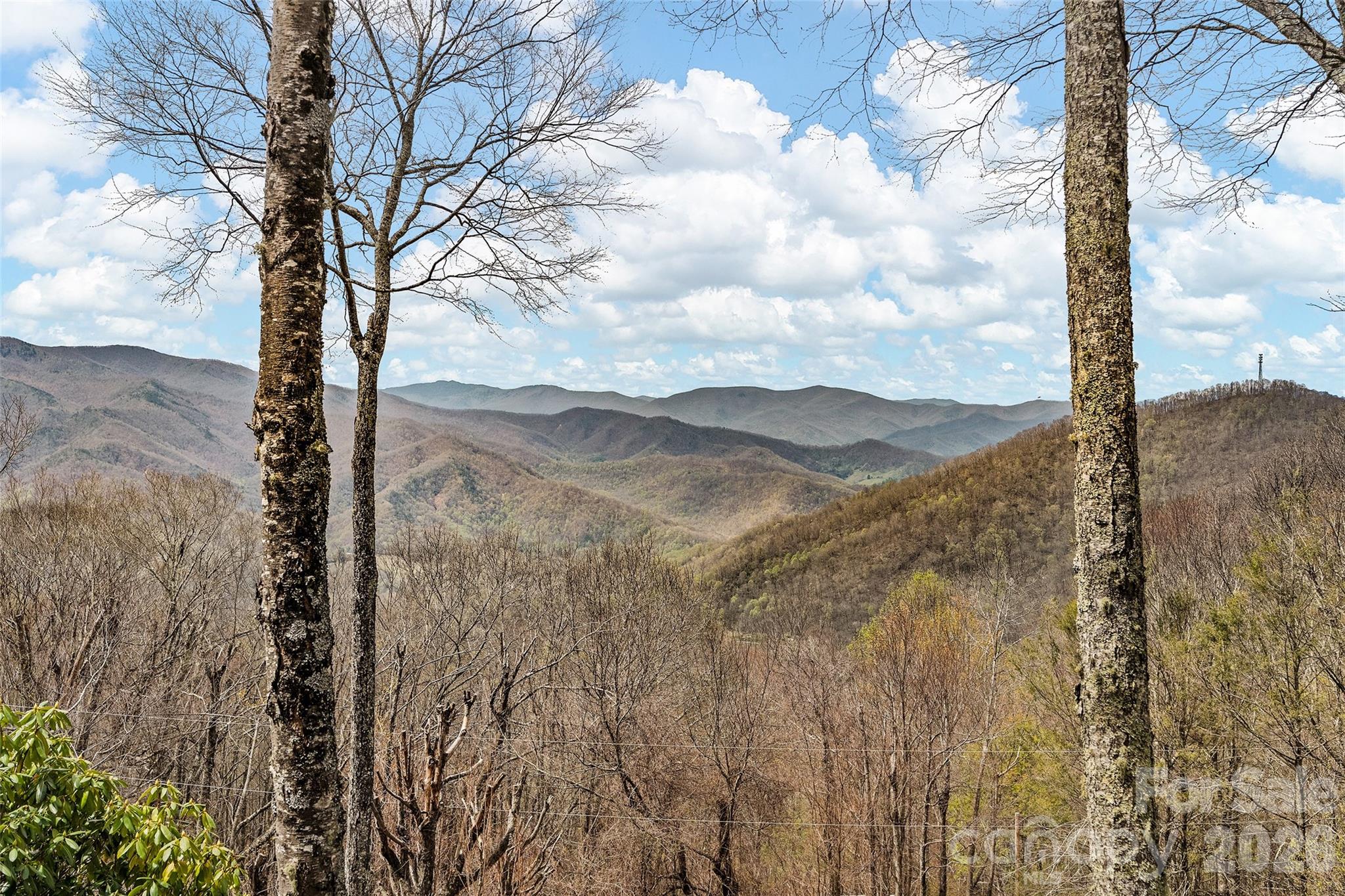 519 Promiseland Road Canton, NC 28716 - Photo 27 of 35