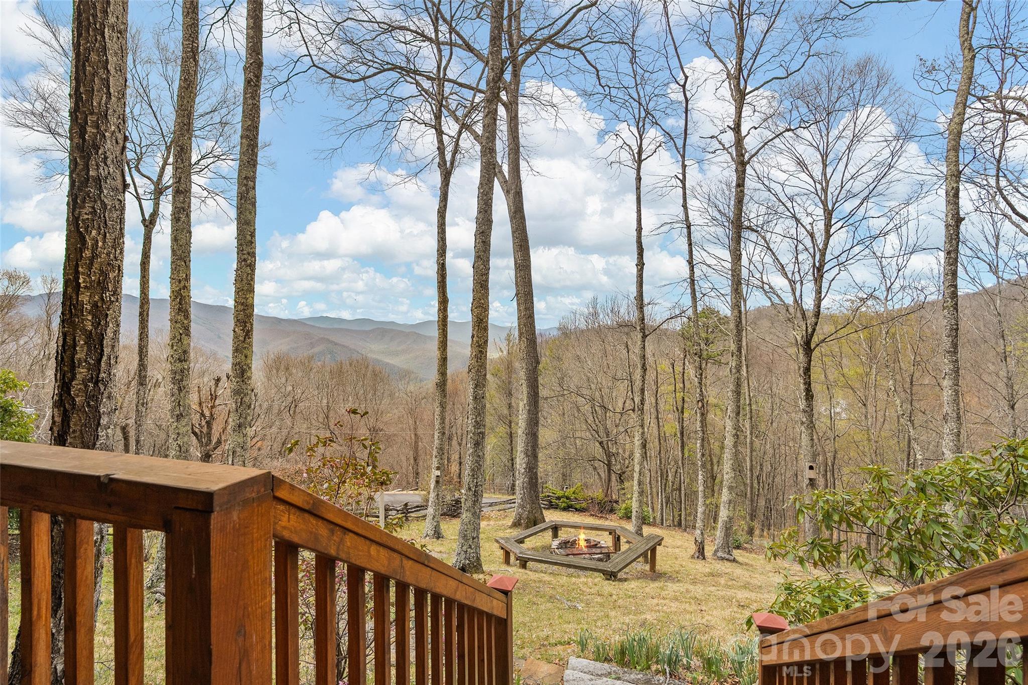 519 Promiseland Road Canton, NC 28716 - Photo 28 of 35