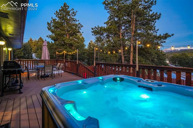 36 Quartz Road Florissant, CO 80816 - Photo 4 of 9