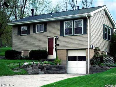 315 Ritter Street Rittman, OH 44270 - Photo 1 of 1