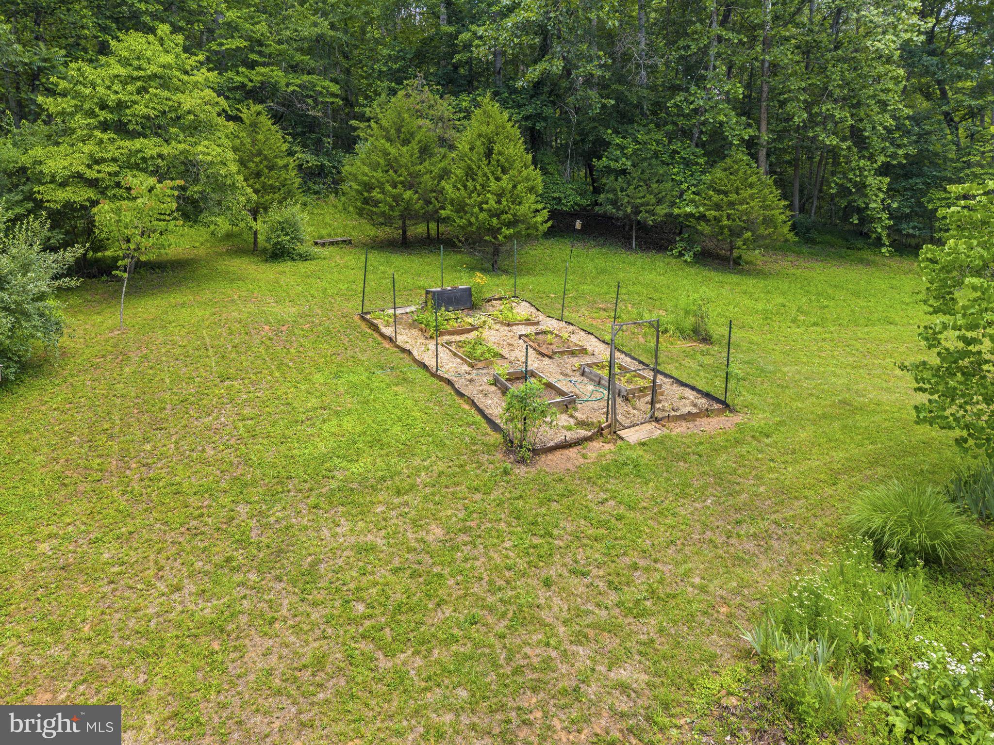 9406 Obannons Mill Road Boston, VA 22713 - Photo 32 of 34 Your private garden