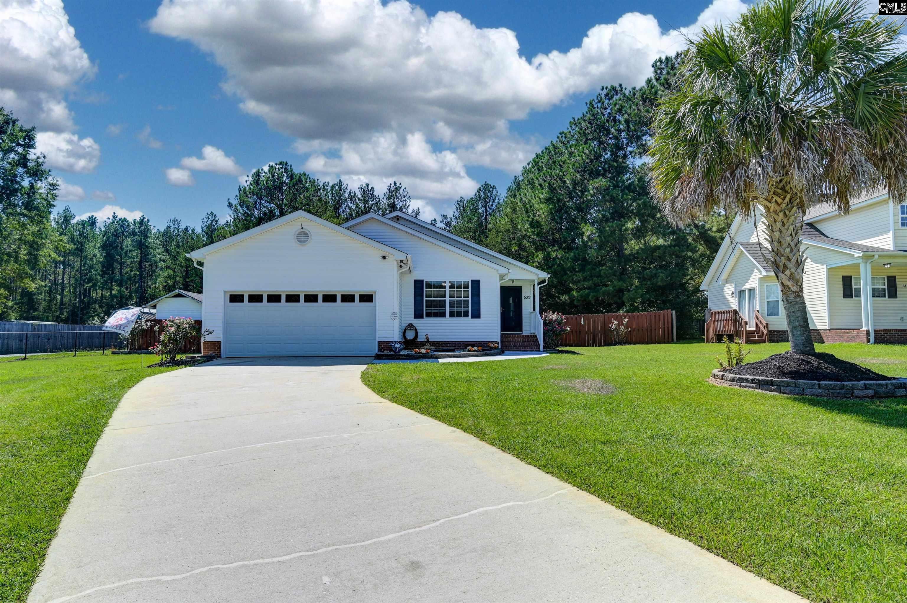 539 Old Bush River Road Chapin, SC 29036 - Photo 2 of 52 Gallery Image 2