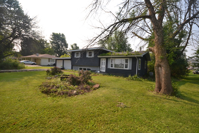 2031 Sheffer Road Aurora, IL 60502 - Photo 3 of 4