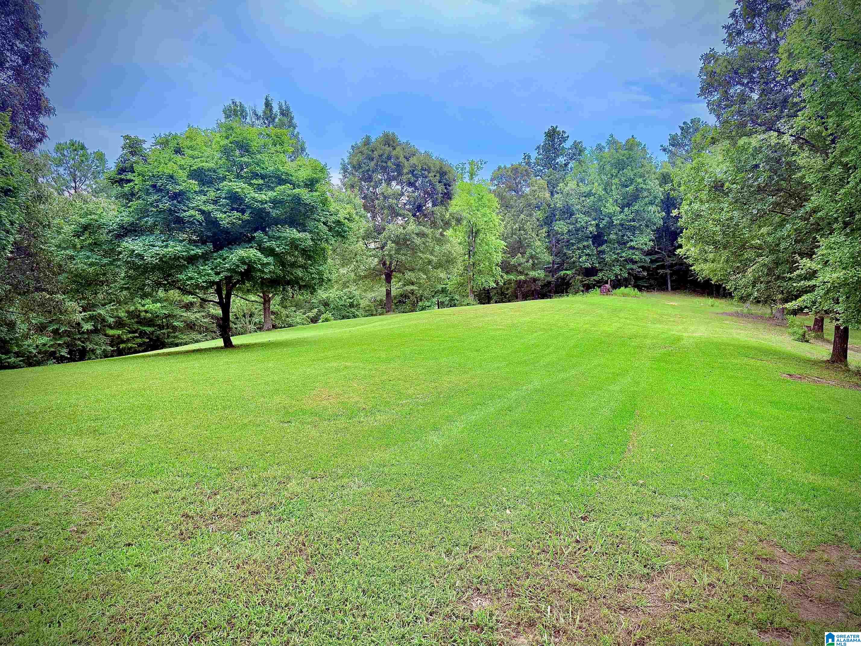 785 Shady Grove Road Piedmont, AL 36272 - Photo 66 of 70