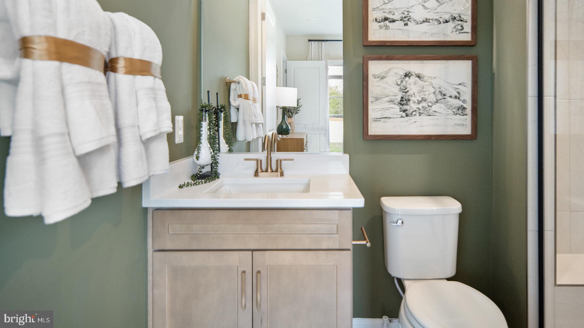 Tbb While Away Drive, Unit RICHMOND Bowie, MD 20716 - Photo 14 of 99