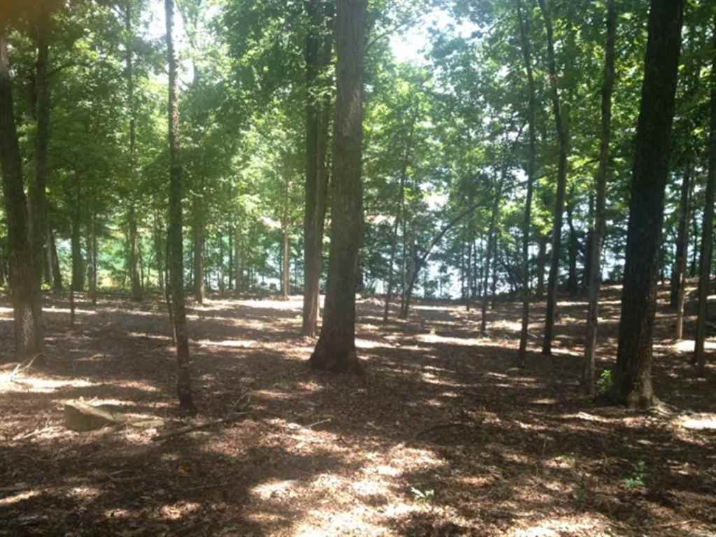 Lot 35 Laurel Ridge Seneca, SC 29678 - Photo 24 of 25 Gallery Image 24