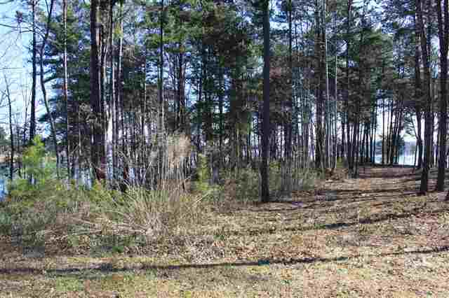 Lot 35 Laurel Ridge Seneca, SC 29678 - Photo 4 of 25 Gallery Image 4