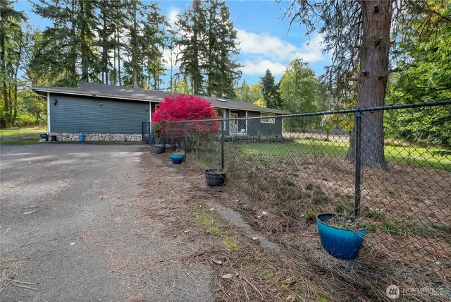 a view of a backyard with potted plants and large trees