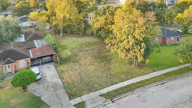 a view of a yard with plants
