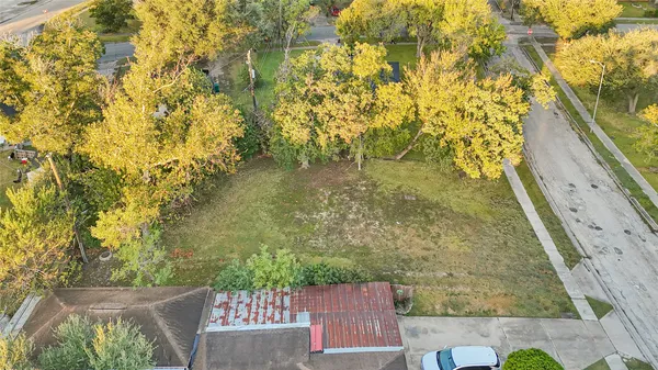 a view of yard along with trees