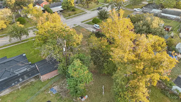 a view of a yard