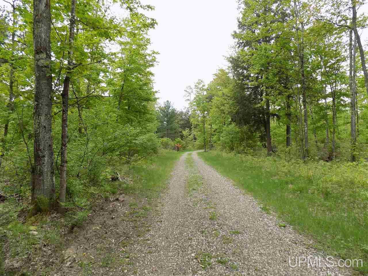Tbd Slim's Road, Unit PARCEL B Manistique, MI 49854 - Photo 19 of 21