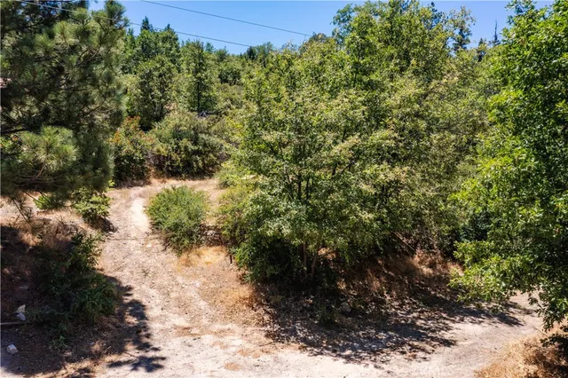 a view of a large yard with lots of green space