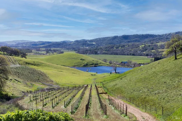 a view of a yard with wooden fence