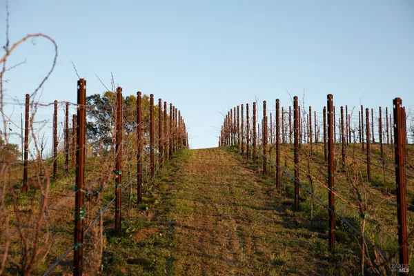 a living room with furniture a wooden floor and next to a window