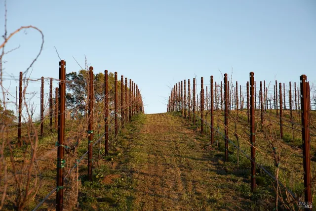 a living room with furniture a wooden floor and next to a window