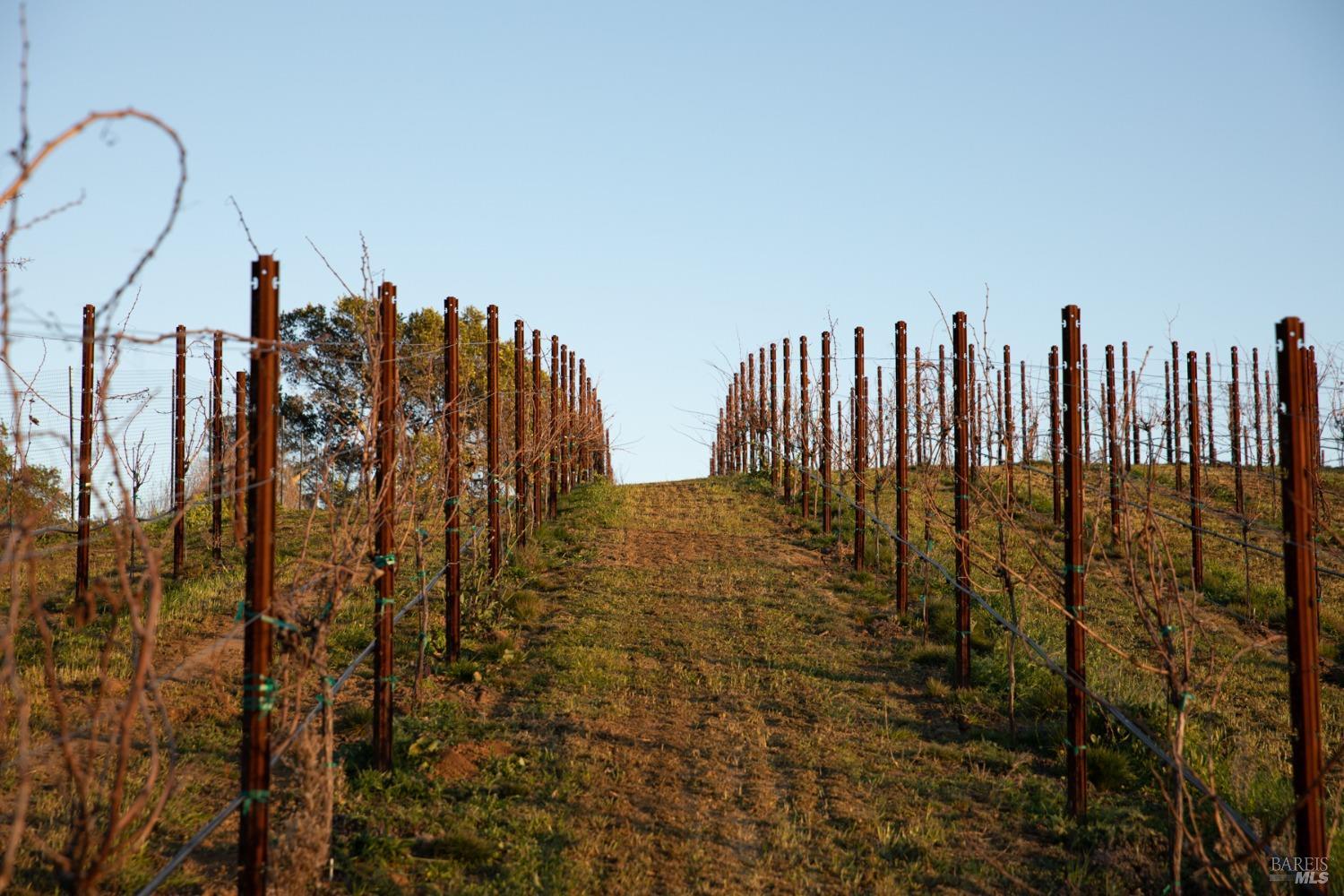 5066 Clayton Road Fairfield, CA 94534 - Photo 47 of 75