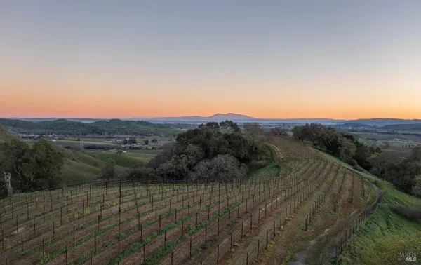 a view of living room with furniture fireplace and window