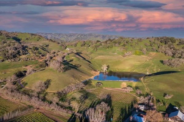 a view of outdoor space with palm trees