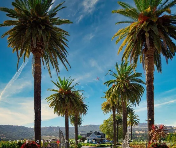 a front view of a house with a yard and a garden