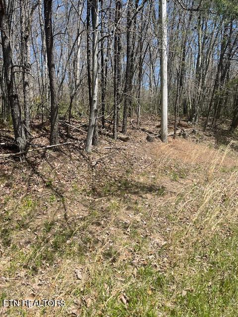 Reeves Road Monterey, TN 38574 - Photo 3 of 10 Reeves Road