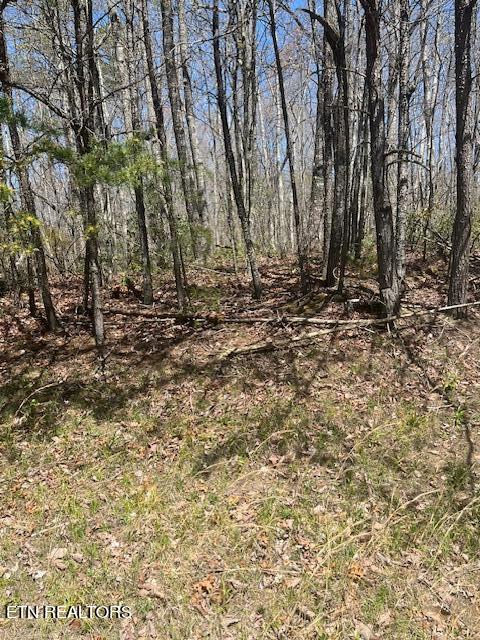 Reeves Road Monterey, TN 38574 - Photo 4 of 10 Reeves Road2