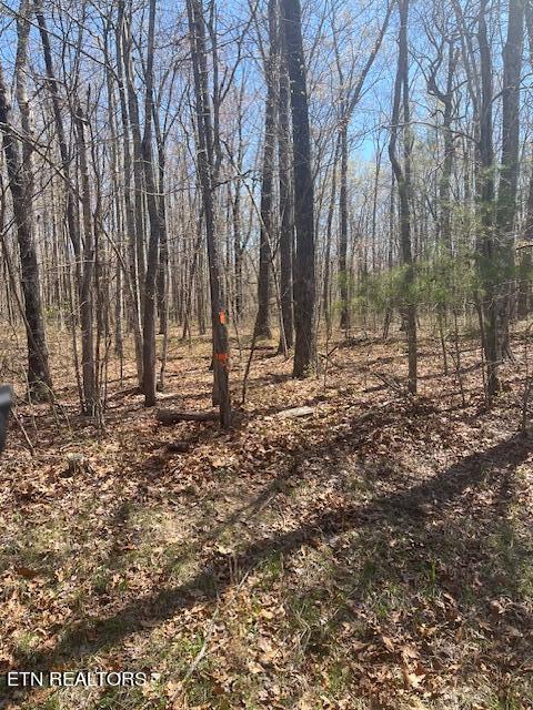 Reeves Road Monterey, TN 38574 - Photo 5 of 10 Reeves Interior