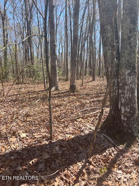 Reeves Road Monterey, TN 38574 - Photo 8 of 10 Reeves Interior 4