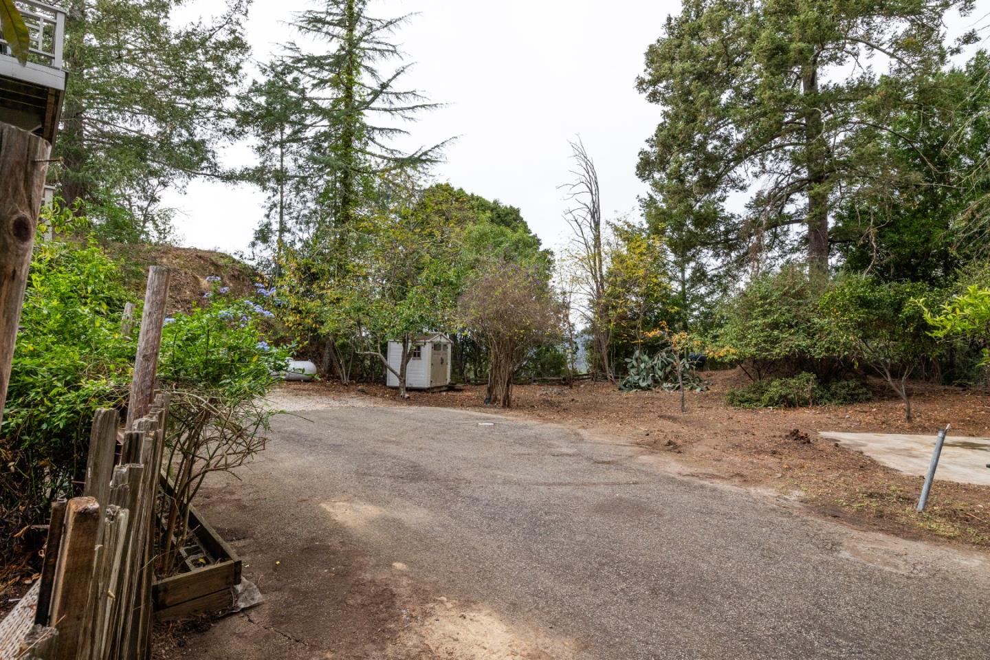 2345 Laurel Glen Road Soquel, CA 95073 - Photo 62 of 63 a view of a backyard with plants and trees