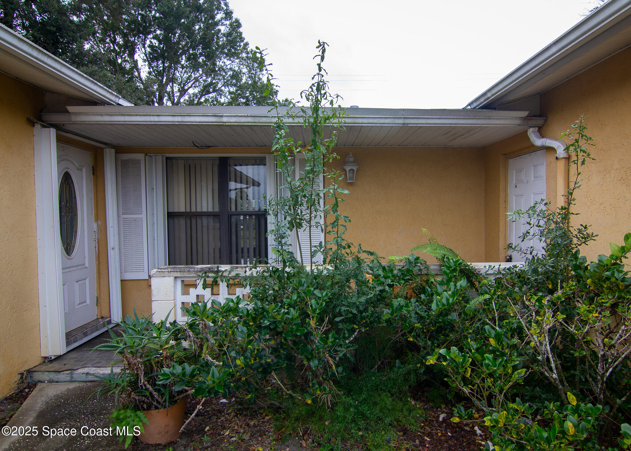 981 Palmer Street Rockledge, FL 32955 - Photo 8 of 38 a couple of potted plants in front of door