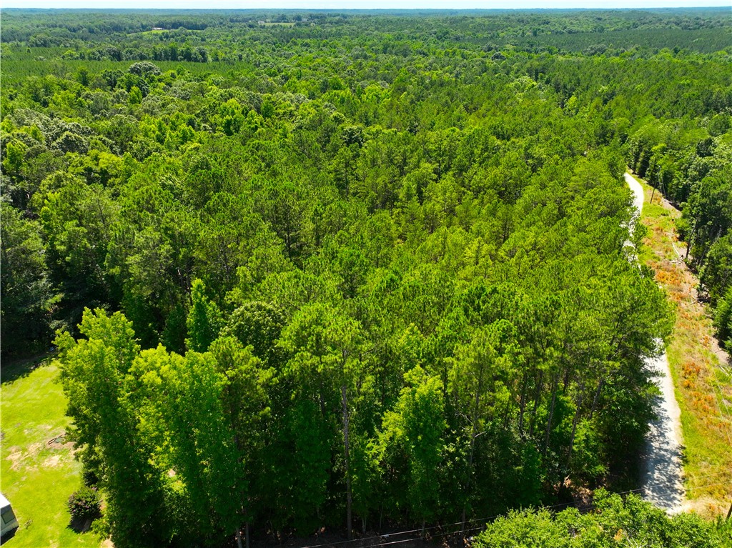 401 Coleman Road Clinton, SC 29325 - Photo 15 of 25